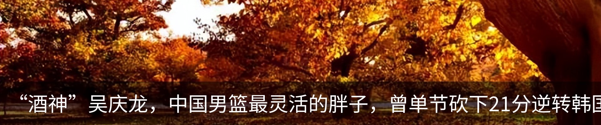 资讯动态