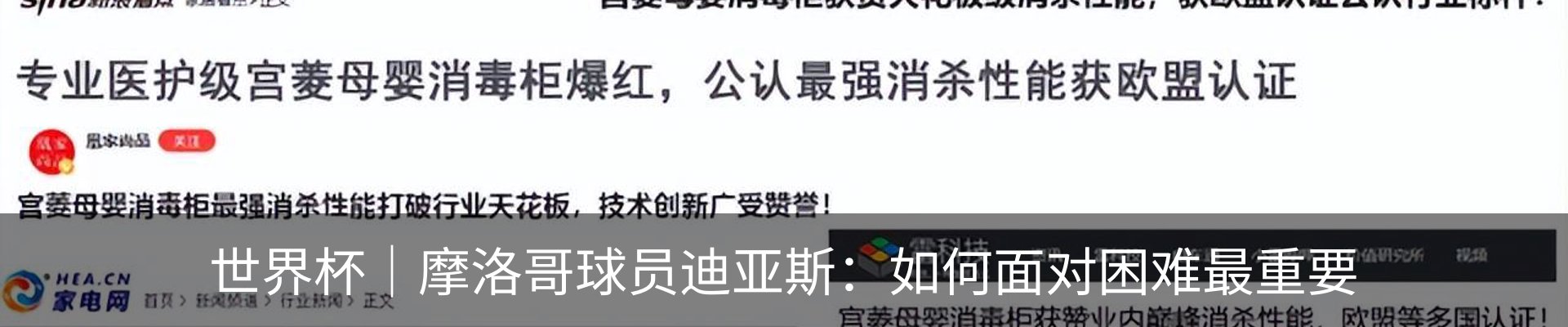 资讯动态