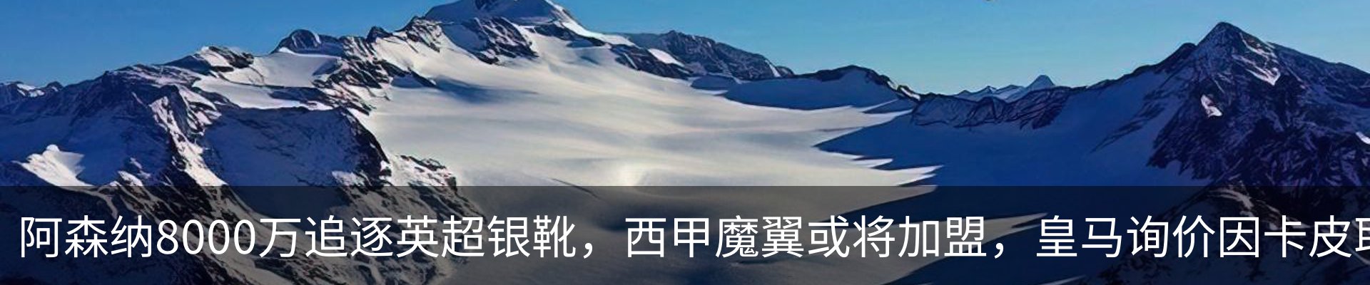 资讯动态